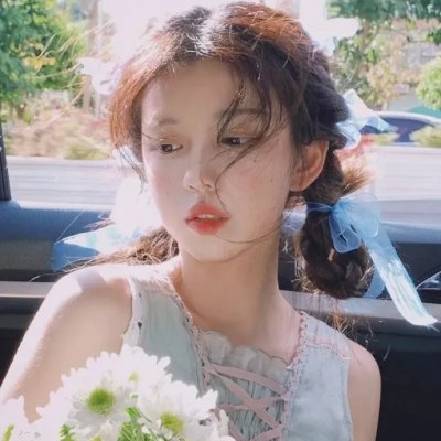 安妮日记：始末